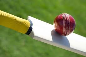 cricket