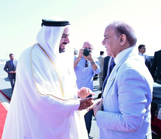 Qatar1-534x462