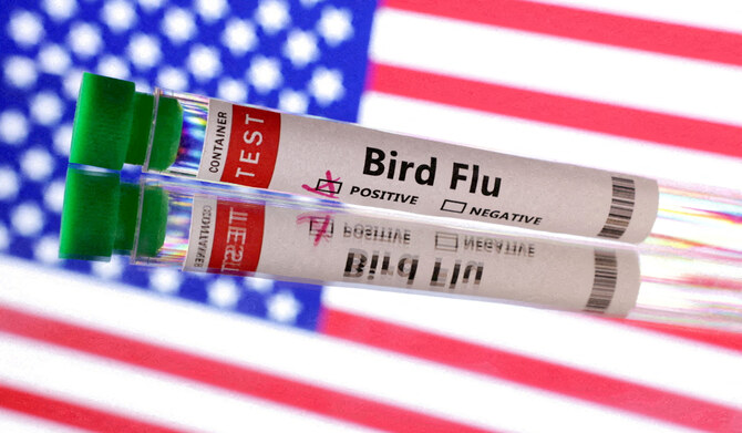 FILE PHOTO: Illustration shows test tube labelled "Bird Flu" and U.S. flag