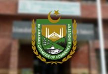 ICCI hosts P3A session to explore new avenues