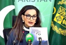 Sherry Rehman calls for national strategy to address population growth