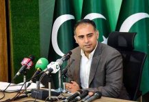 No under-invoicing found in used vehicles or solar panel imports: NA told