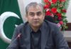 Immigration system should not stop at any cost, says Naqvi