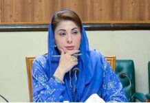 Punjab leading in governance, development: Maryam