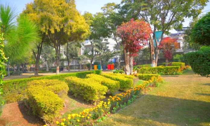 Horticulture_Agency_Rawalpindi_busy_in_beautifying_parks_of_the_city_Special_instructions_of_MD_Hor-780x470