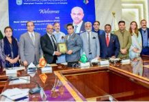 Greater B2B engagement to unlock Pakistan-Turkiye economic potential: Mehmet Sulun