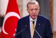 Turkiye’s Erdogan gives Nato leaders revolver conundrum after summit
