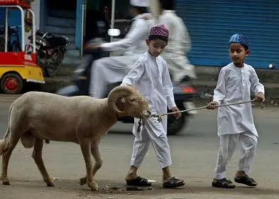 green-eidul-adha