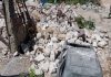 US confirms Israel-Lebanon talks in Italy from August 4