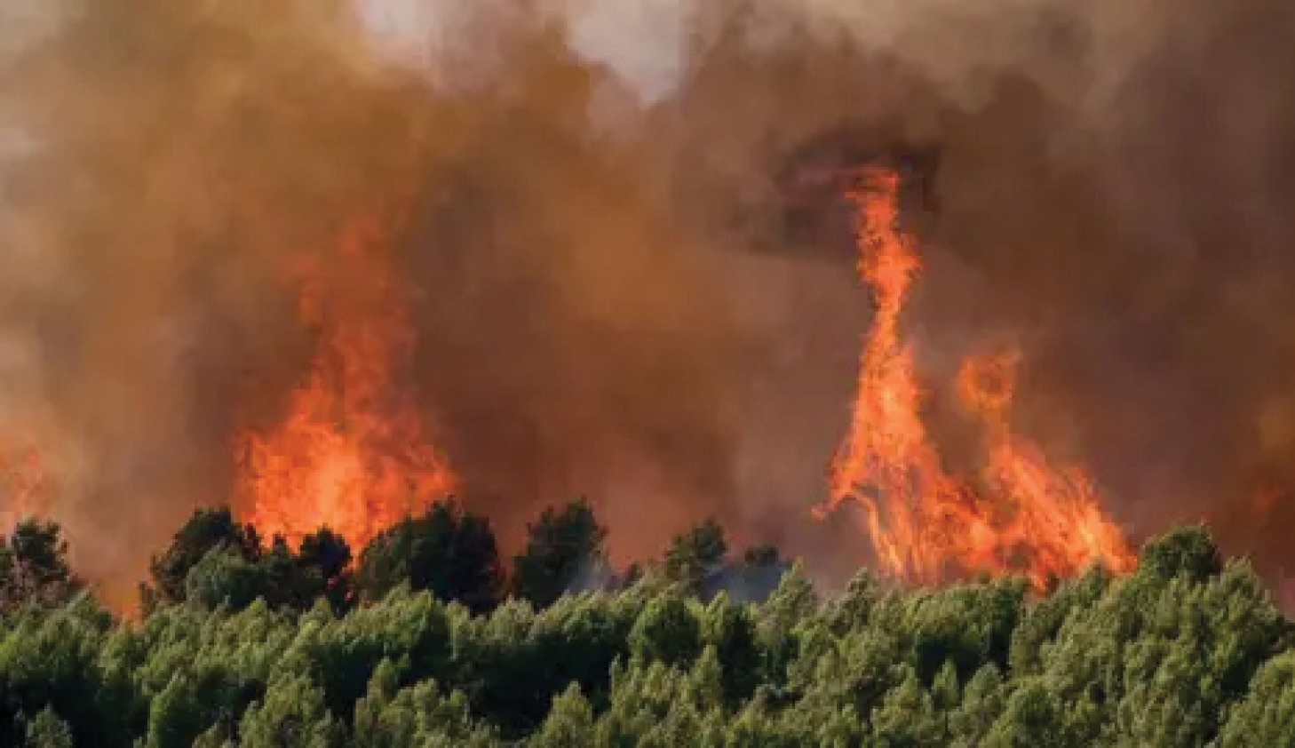 France records 2,025 excess deaths at peak of heatwave as Europe braces for more extreme weather