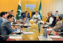 Punjab becomes first province to invest heavily in railway development: Abbasi