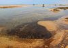 Iran calls for compensation after Hormuz oil spill