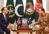 Field marshal underlines Pak role in peace