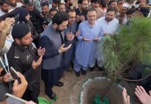 CM marks Independence Day with plantation, vows Sept 27 march for Imran