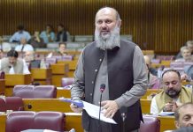 Govt takes measures to mitigate flood-related losses: Senate told