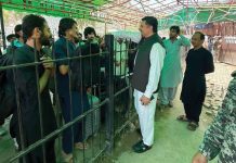 Hundred Pakistani students return home from Afghanistan via Torkham border