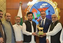 Tourism facilitation centres being set up across KP: Malik Adeel