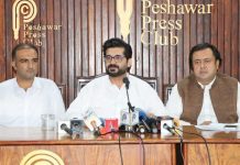 ANP alleges widespread mismanagement in KP