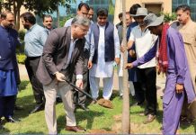 AIOU begins Monsoon plantation drive
