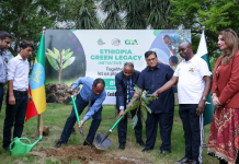Ethiopian embassy holds plantation drive under green lrgacy initiative