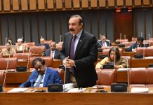 Govt bound to facilitate PTI founder’s private treatment if needed: Tariq Fazal