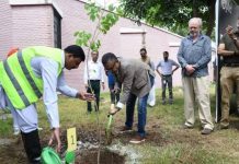 PTCL and WWF join hands for ‘Plant for Pakistan’ drive
