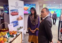 Pak HC organizes mango festival in Singapore to mark 60th years of diplomatic relations