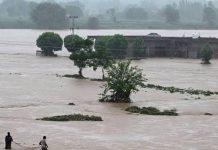 Torrential rain causes widespread damage in areas of Haripur