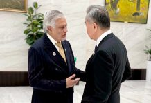 Pakistan, China FM discuss upcoming UNGA session, UN chief election