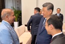 PM Shehbaz holds informal interactions with world leaders on SCO sidelines