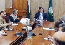 Protection of human rights vital for global image: Aamir