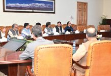 Governor calls for comprehensive plan to address KP energy issues